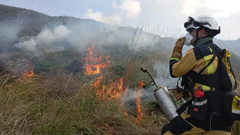 Comienza la temporada de alto riesgo de incendios: se prohíbe hacer fuego en terrenos forestales