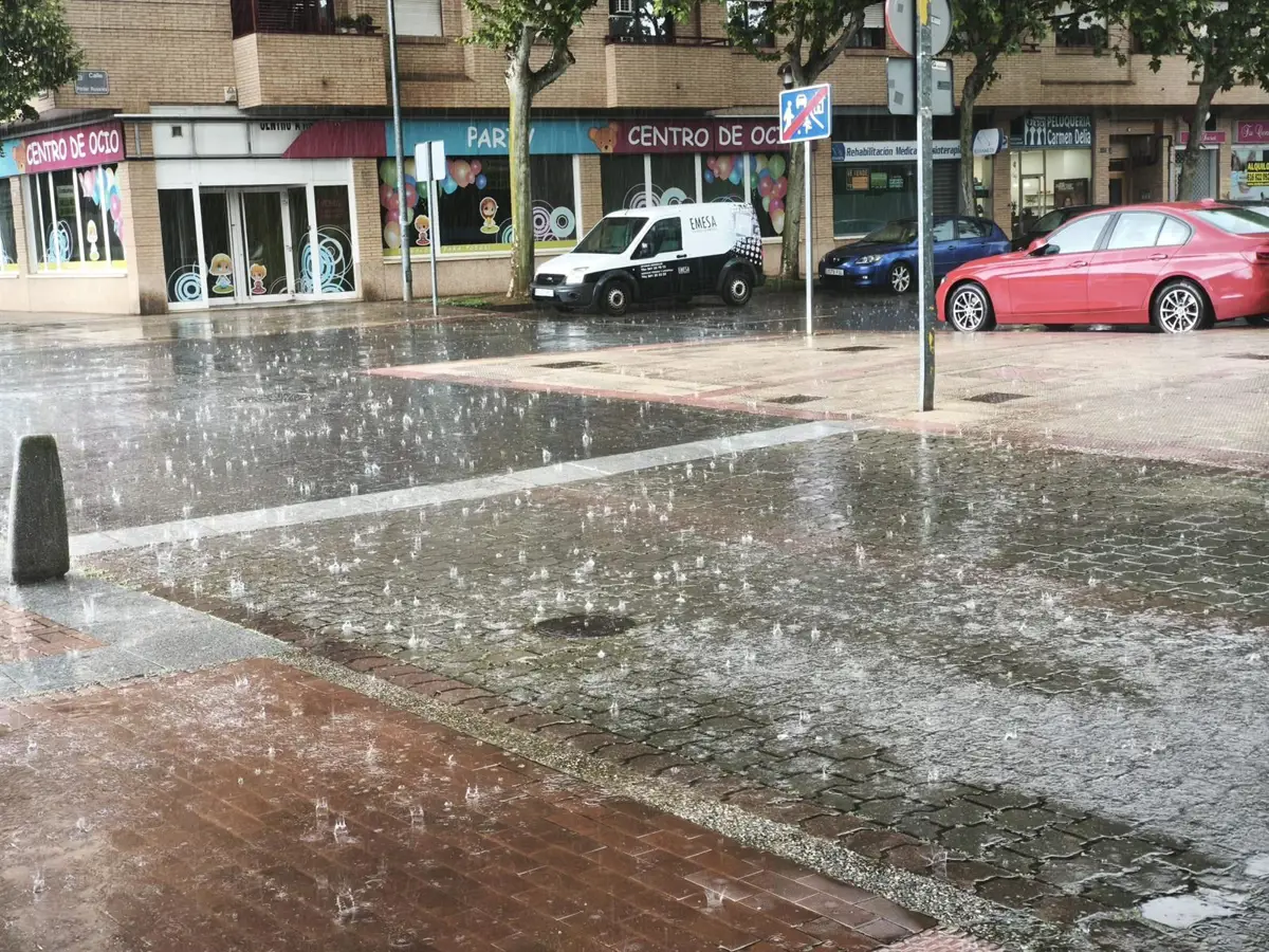 Caída de árboles y leves deslizamientos tras las lluvias y tormentas en La Rioja esta noche