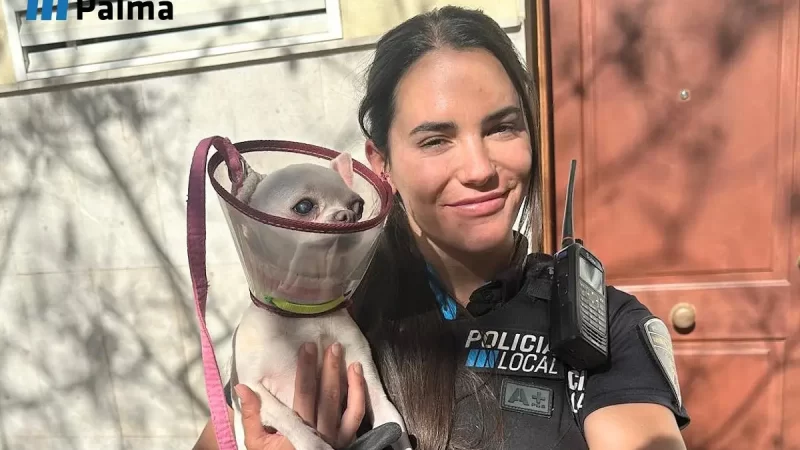 Salvan a una perra de un incendio en una vivienda de Palma