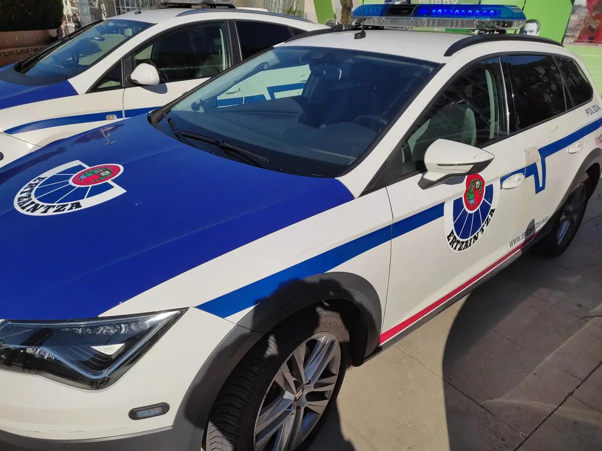 Conductor herido tras colisionar con una vaca en la A-2124 en Peñacerrada, Álava