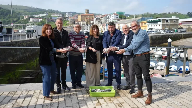 La baja captura de verdel se compensa con una evolución positiva de la anchoa en Euskadi