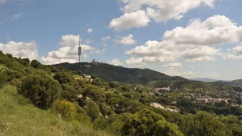 Barcelona comienza el mantenimiento de las franjas forestales para prevenir incendios