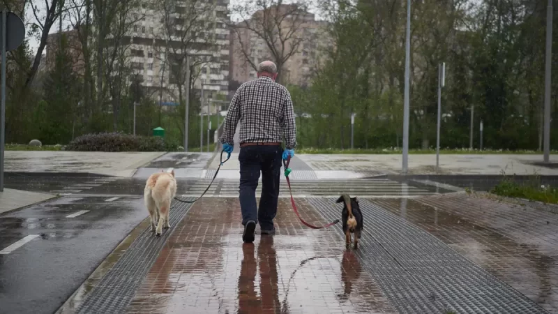 Derechos Sociales asigna 50.000 euros para apoyar el cuidado de personas con discapacidad y mayores