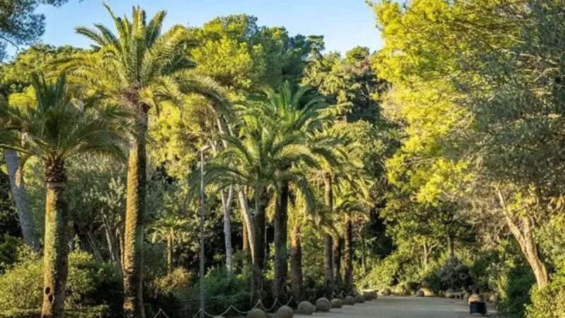 El Park Güell actualizará su iluminación para facilitar la visibilidad en los recorridos