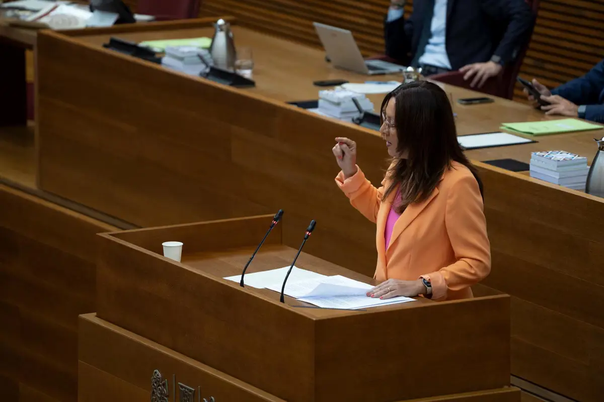 El PSPV pide apoyo para planes municipales de autoprotección ante la ineficaz campaña del Consell