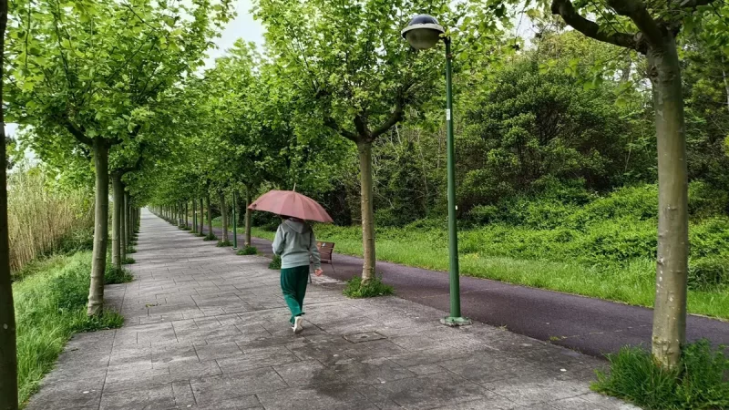 Tormentas y descenso de temperaturas con máximas de 15 grados este lunes en Euskadi